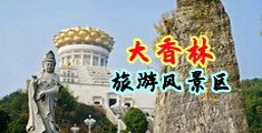 用力啊好爽骚货视频中国浙江-绍兴大香林旅游风景区